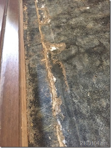 2019-06-23 11.53.54
